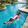 Reflective Dog Life Jacket Breathable Pet Life Preserver Dog Surfing Clothes  Outdoor Beach