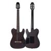 Gitaren, ukeleles, mandolines – Gitaren