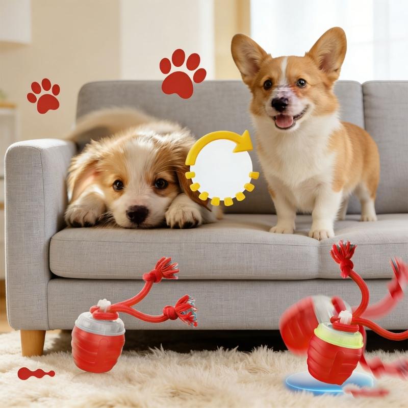 Rechargeable Canine Entertainment Toy Variable Rolled Speed and Sound Effect to Relieve Boredom and Anxiety
