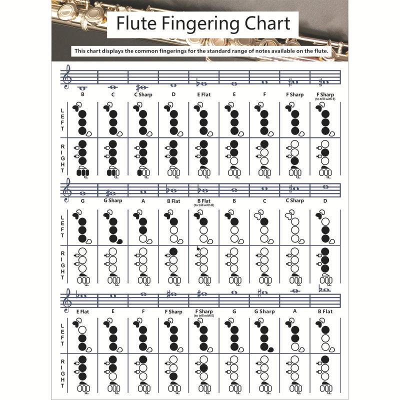 Flute Fingering and Chord Practice Chart Large Flute Fingering Chart (56*40cm)