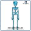 Magnetic Movable Skull Fridge Magnet 3D Skeleton Refrigerator Sticker Luminous Fridge Magnets Fun Halloween Decor Día De Muertos