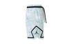 Men's Shorts Jordan Casual Shorts Men's Mint Green
