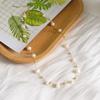 Simple Gypsy Natural Freshwater Pearl Necklace Women's Summer Light Luxury Niche High-end Collarbone Chain Accessories New