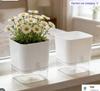 Plastic Ceramic Hydroponic Planter for Indoor Pothos and Succulents, Flower Pot