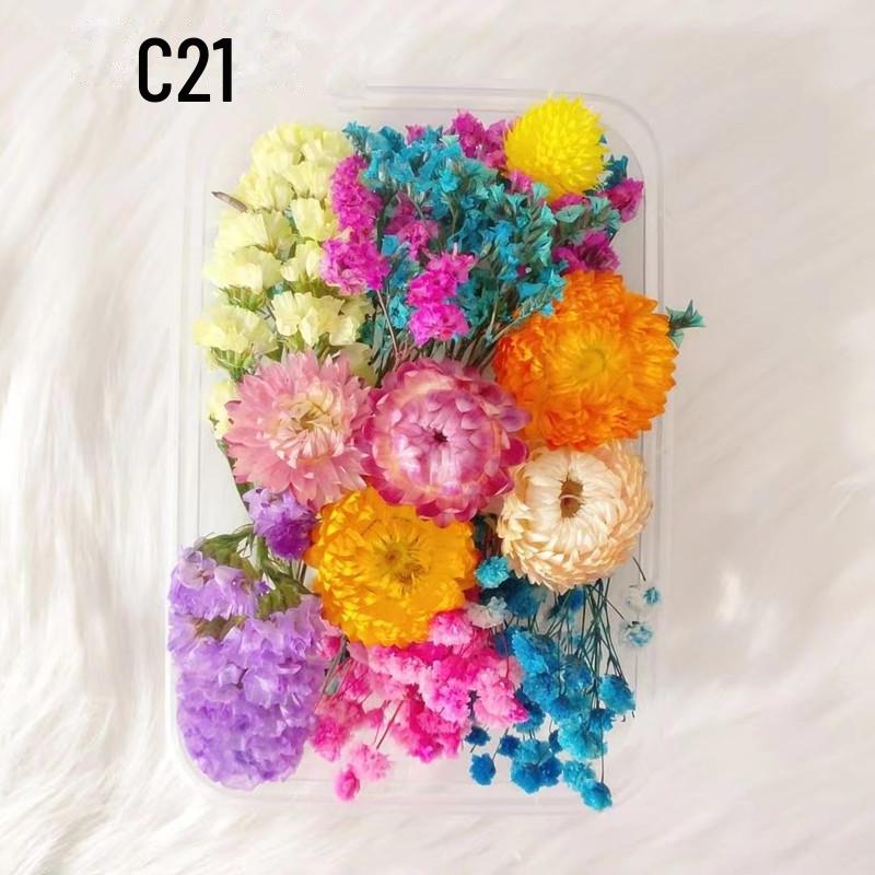 Kit DIY Fleur Éternelle: Cadre photo de fleurs séchées, éventail rond, bouteille flottante, composition florale réelle pour la décoration du salon ou de la maternelle.
