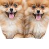 Decorative Car Headrest Protector 2Pcs Cute Dog Covers, Breathable Auto Seat Comfortable Sleeve Protectors, Stretchy Universal Interior Accessories