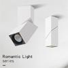 Premium-LED Indoor Ceiling Spotlight 360°Adjustable Wall Light Ceiling Downlight -Surface Mounted COB Lighting Swivel Lamp