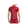 Nike Liverpool FC Academy Pro Logo Embroidered Slim Fit Short Sleeve T-Shirt Men Tops DX3614-688