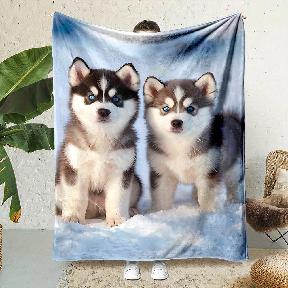 

Design pattern of a husky puppy Flannel printed blanket suitable for all seasons suitable for living room office sofa and travel 75x90cm