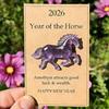 Lucky Horses Pocket Hug with Card Bring Good Luck 2026 Year of The Horse Pocket Token Decoration Happy New Year Gifts