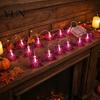 Small LED Spider Light Strands 10/20FT Halloween String Light, Battery Powered Purple Large Spider/Bat Garland, Spooky Dual Color Warm White