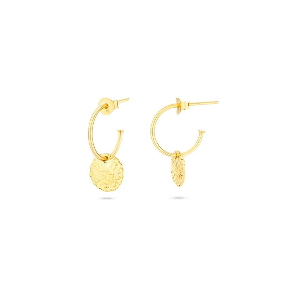 Ladies' Earrings Radiant RY000027 Stainless Steel 2 Cm