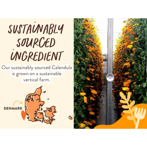 Babo Botanicals Baby Shampoo and Wash - Moisturizing - Oatmilk - 16 oz