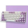 XVX Keycaps, 165-Key Print Keycaps, PBT Transparent Keycaps for Cherry MX Gateron Switch Keyboards, OEM Profile Keycaps (PurpleWhite)