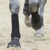 Breathable Fleece Lined Horse Leg Wrap For Riding And Cold Weather Protections