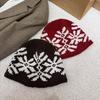 New Christmas knitted hat children's pile hat snowflake retro wool hat autumn and winter thickened warm couple big head circumference