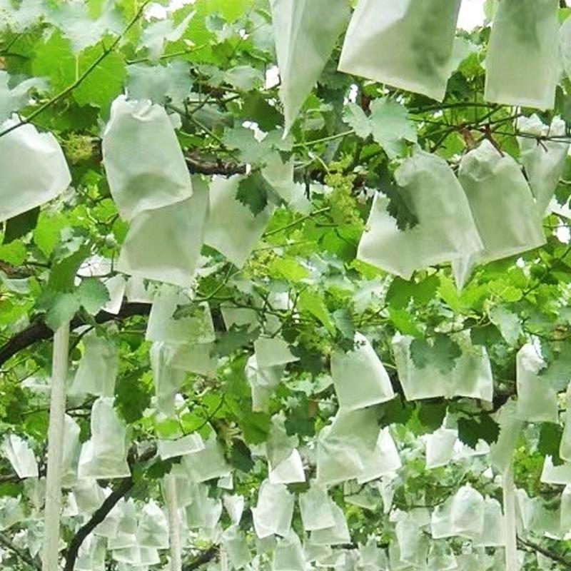 100Pcs Garden Grapes Fruit Protection Bags Cover Plant Nursery Bag Pest Control Anti-Bird Non-Woven Fabric Bag Gardening Protect