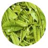 HelloYoung 100g Premium Anji Baicha Baipian White Slice Tea Spring CEAI VERDE