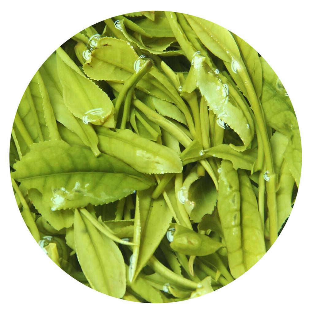 HelloYoung 100g Premium Anji Baicha Baipian White Slice Tea Spring CEAI VERDE