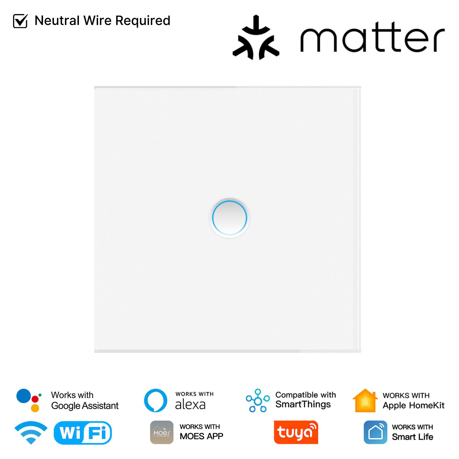 Matter Graffiti Smart WiFi Switch with Alexa Voice and App Control, Concave Touch Design