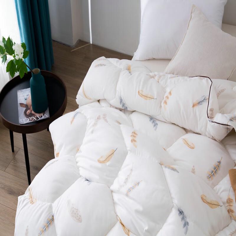 Dohia Ailaita Microfiber Warm Winter Duvet Insert