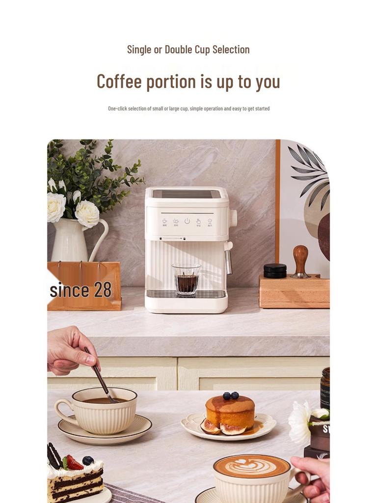 20Bar 110V/220V Fully Automatic Italian Coffee Machine with Milk Frother