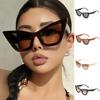 Big Frame Leopard Print Eyewear UV400 Wide Legs Sun Glasses Fashion Cat Eye Sunglasses  Travel