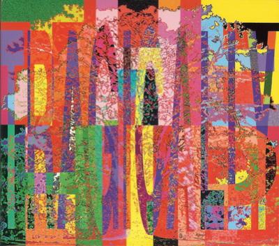 CD TRAGICALLY HIP - Music @ Work 0121590062 Universal Music 2000 Kanada Rock Begagnad