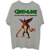 Warner Bros Unisex T-Shirt: Gremlins Stripe Do Not Feed (X-Large)