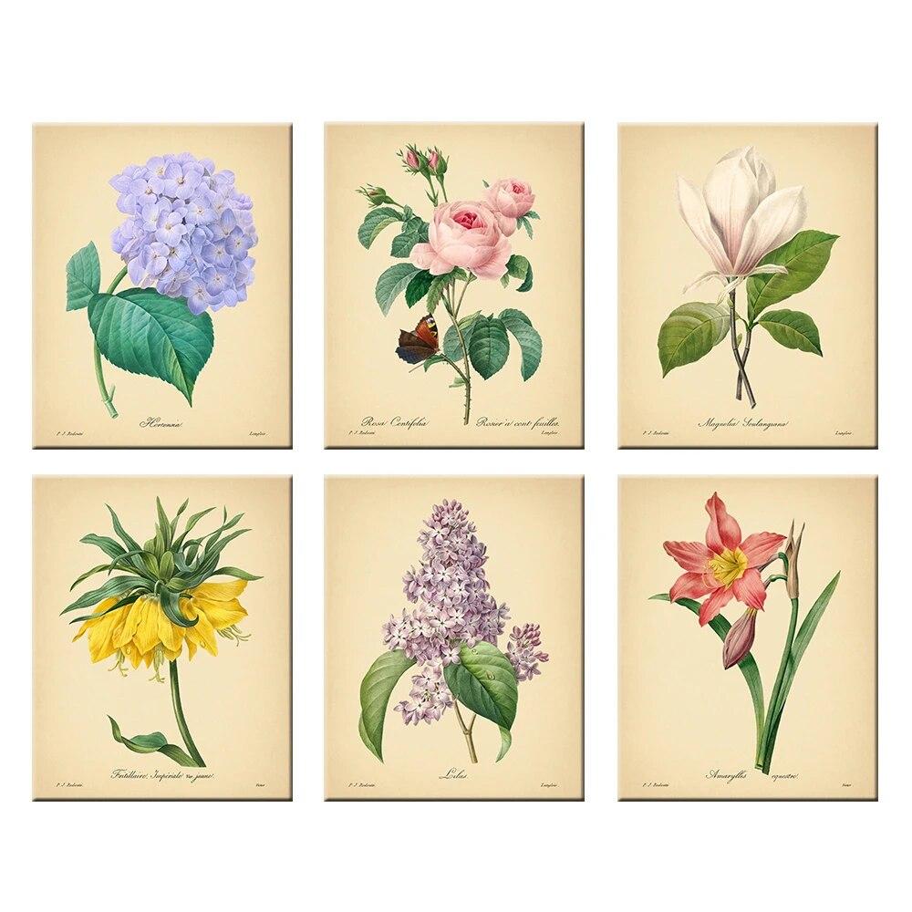 

Picture Nordic Home Illustration Floral Plant Poster and Prints Rose Vintage Wall Art Canvas Painting