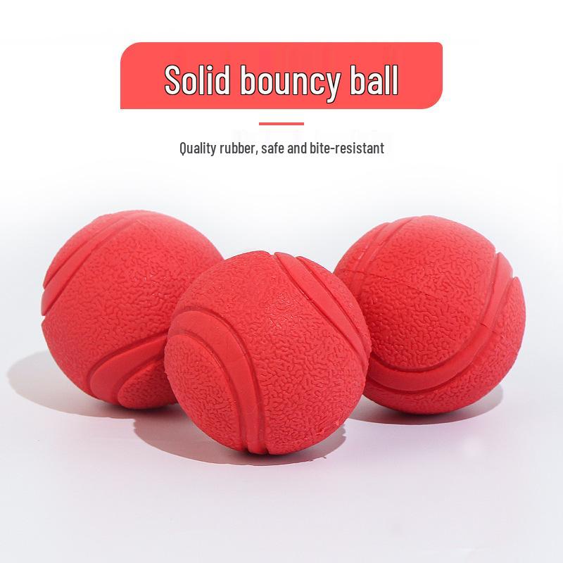 Durable Dog Flying Disc, Ball, Rope, and Carrot Teething Toy Set for Puppies.