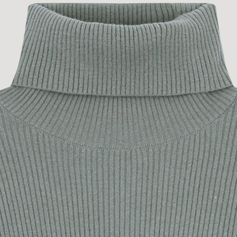  She S MiSS  Ribbed Slim Turtleneck Knit SSkpoo41010 Mi