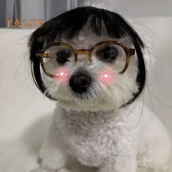 Perruque amusante pour animal de compagnie, déguisement de cosplay, aspect réaliste, ajustable, facile à nettoyer, pour chien et chat de taille moyenne et grande taille, décoration