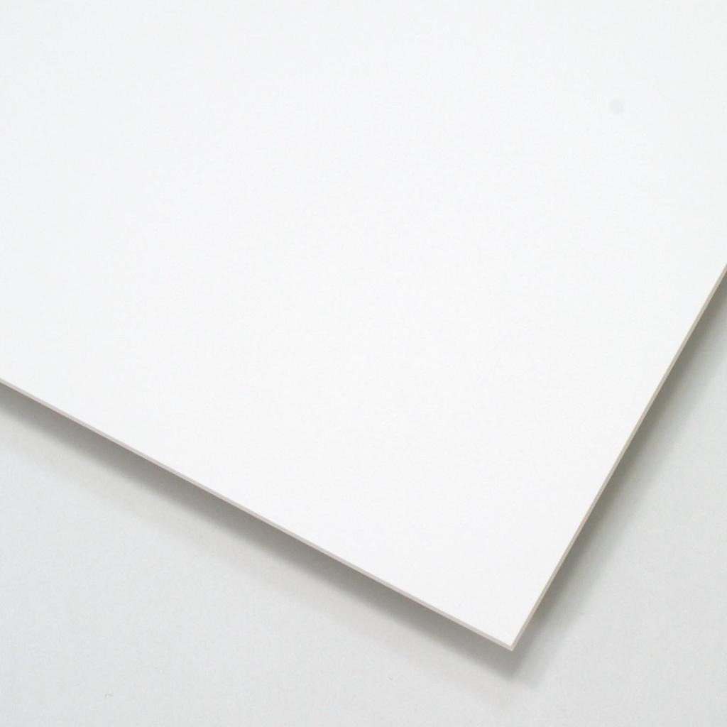 Paper for Vegetable and Gardening Labels Yupo Synthetic Paper FGS Laser Printable and Cuttable A4 50 Sheets J3X 0.25mm/sheet Water-resistant Flower,