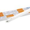 Becuri electrice – Becuri economice și fluoriscente