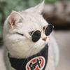 1PC Dog Sunglasses Cat Pet Product Lovely Vintage Round Reflection Eye Wear Glasses Small Dog Cat Pet Photo Props Accessories
