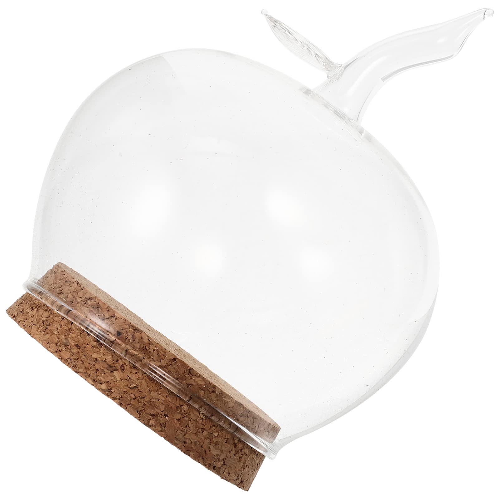 

SEWACC Clear Glass Cloche Dome Case Apple Cover Decoration Tabletop Centerpiece Cloche Jar with Wood Base