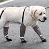 Antislip Pet Dog Booties Waterproof Dog Outdoor Booties Rain Shoes for Rainy Dog Foot Covers for Rainy