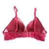 Romantic Temptation Lace Bra Lady Underwear Set Bra Set