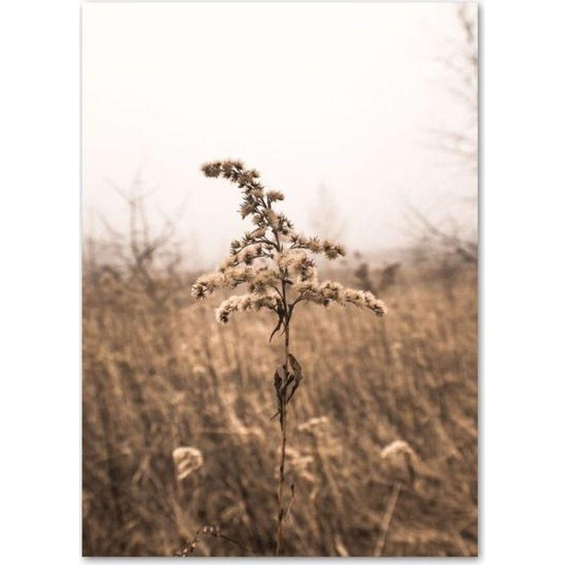 

Картина на холсте с природным пейзажем, современное настенное искусство для домашнего декора 21*30cm No Frame