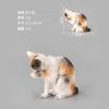 Simulated Poultry Animal Model Toy Kitten Meow Doll Ornament Boutique