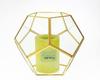 Nordic Geometric Glass Preserved Flower Decor for Home, Coffee Shop, or Wedding