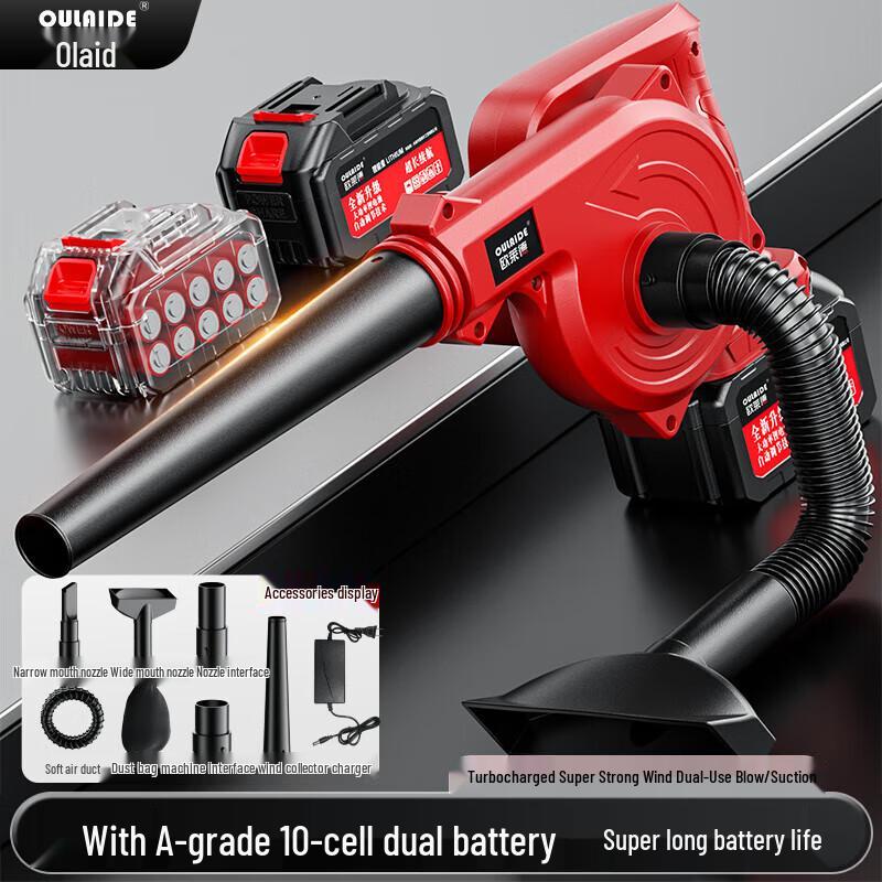Oulaide Cordless 21V Lithium-Ion Blower Series CN Plug (adapter Included)