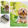 Custom Diamond Art Painting Kits for Adults Customized Private Picture Arts Craft Decor for Family, Mom, Dad, Kids, Dog, Friends, Loves (Round Drill)