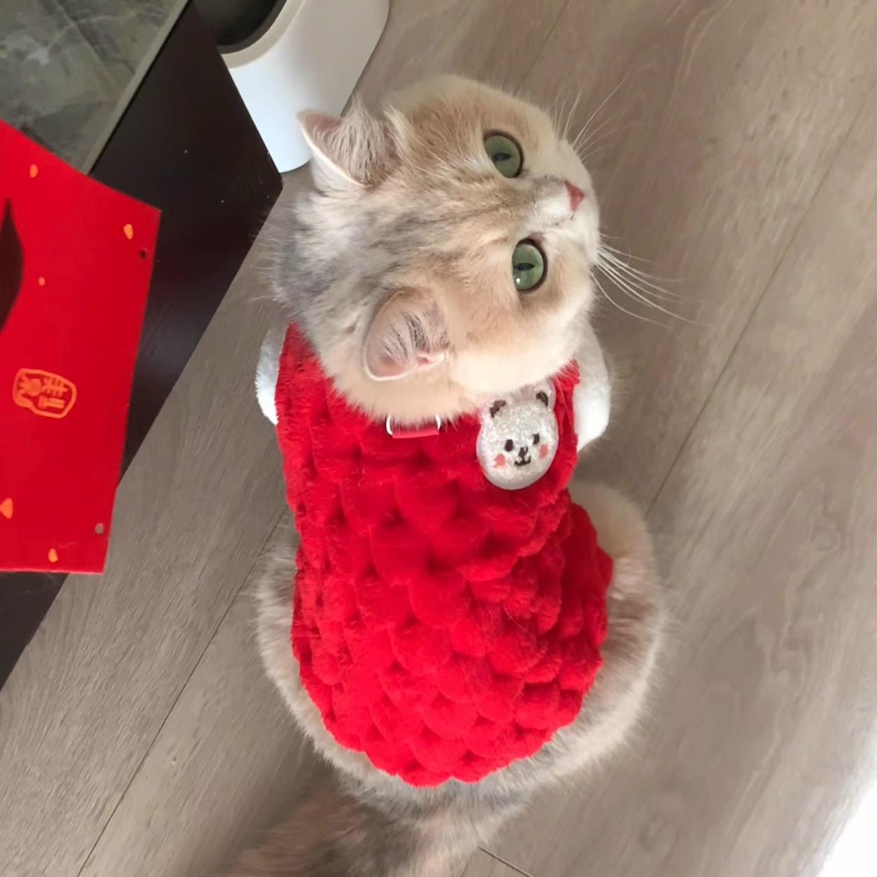 

Теплое флисовое пальто-тедди для кошек на осень/зиму - подходит для котят рэгдолла и британской короткошерстной породы M (5-8 lbs)