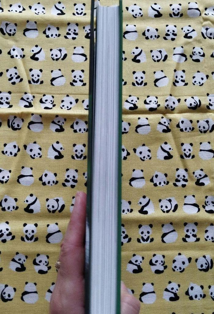 [USED] Rare item! Panda photo book "Fukuho: I Love You Forever" with bonus