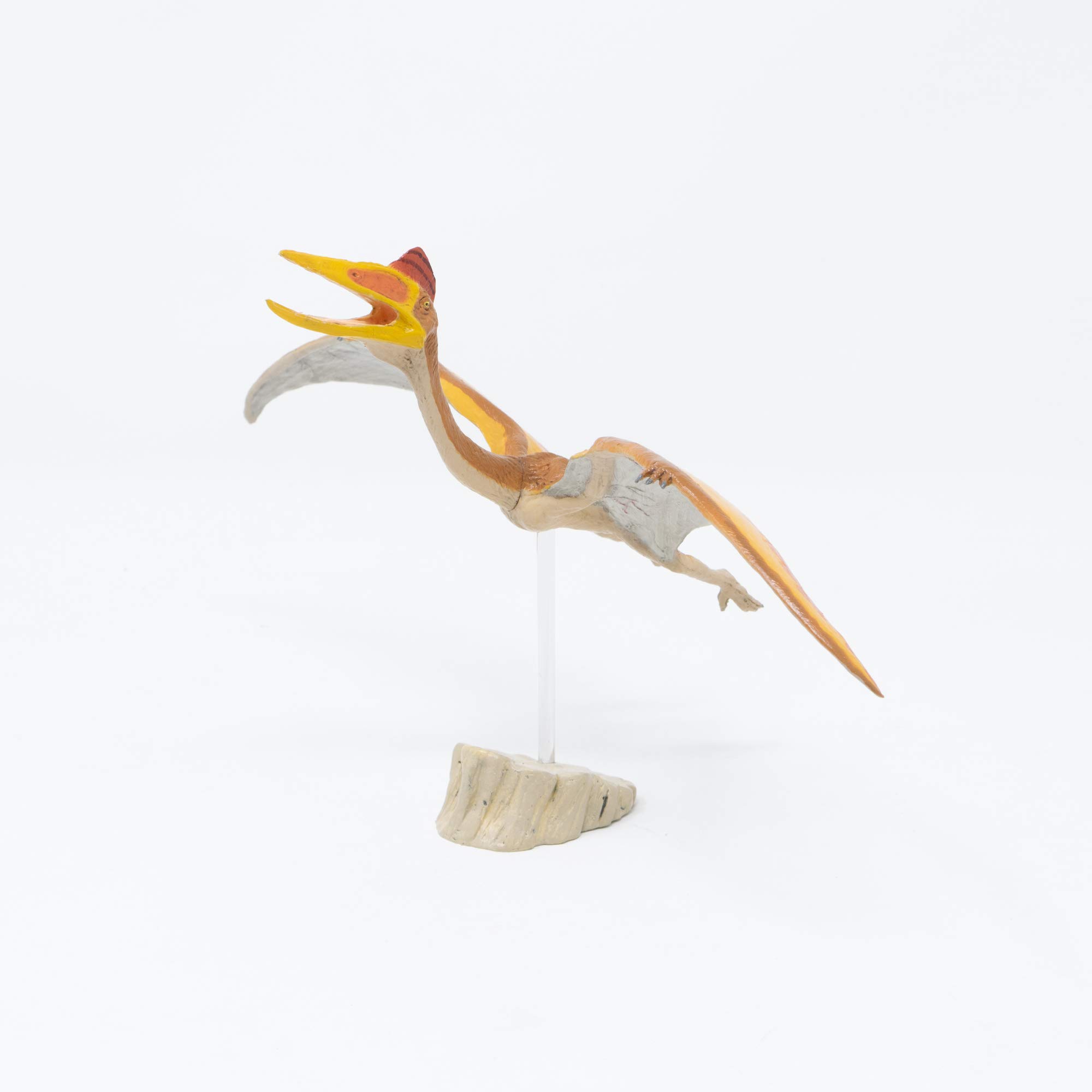 

Quetzalcoatlus soft model (FDW-019)