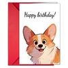 Large Size Birthday Card Envelope Combination Cute Animal Illustration Birthday Gift Card Invitation Card