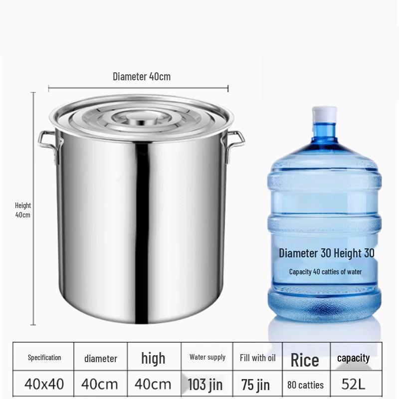 Stainless Steel Induction Stockpot with Lid