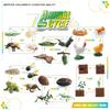 Simulation Of Animals And Plants Insects 6 Themes Butterfly Bee Frog Model Growth Cycle Storage Box Set